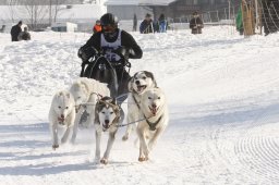Lenk 2012 SM